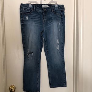 Torrid jeans